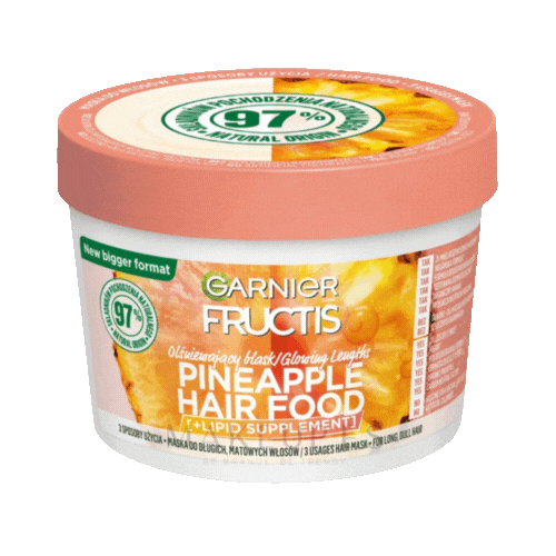 Garnier Pi?a Mascarilla Garnier 350 grs.