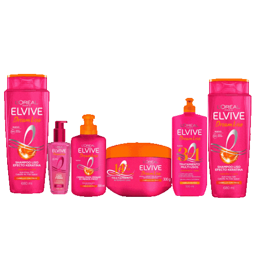 Kit Dream Liso Loreal