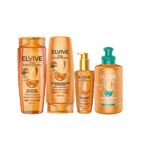 29 Kit Oleo Extraordinario Loreal