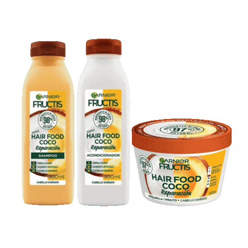 Kit Coco Fructis Garnier