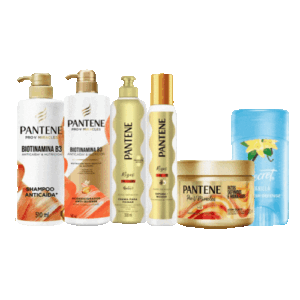 Kit Biotina B3 Pantene