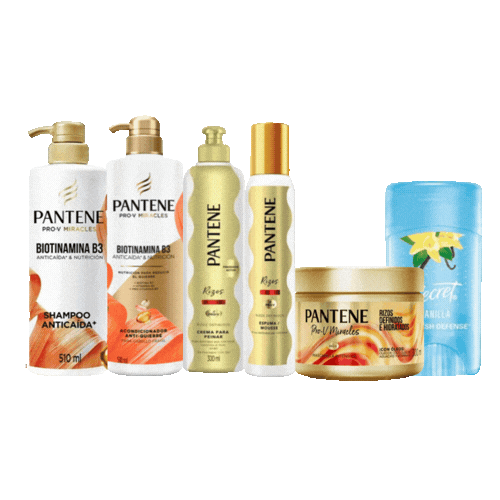 Kit Biotina B3 Pantene