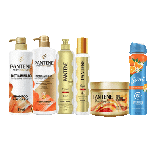 Kit Biotina B3 Pantene