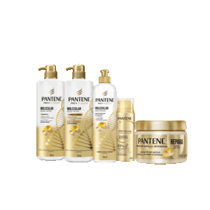 Kit Molecular Bond Repiar Pantene